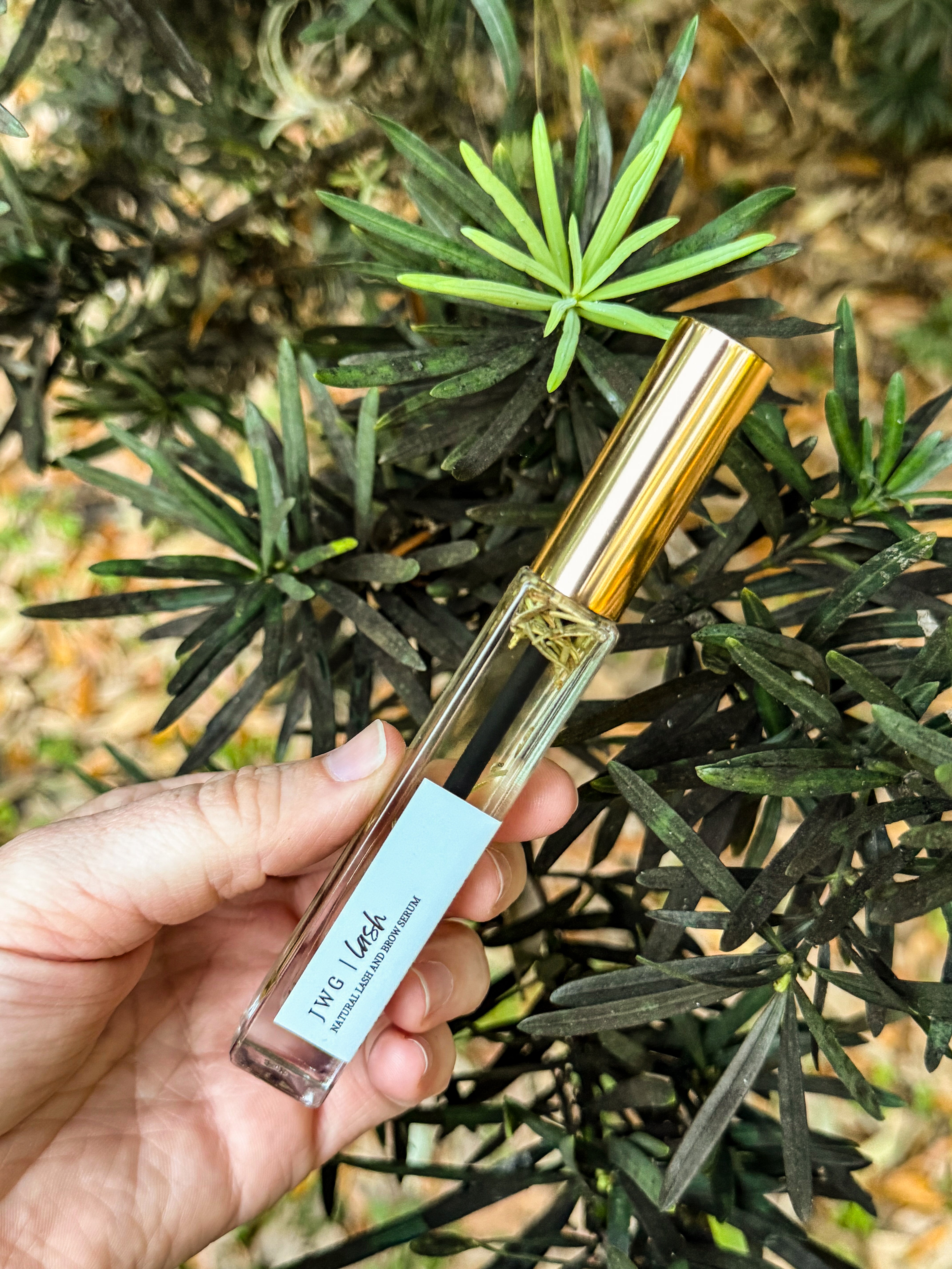 Lash Oil – JESS WANDERING GOODS